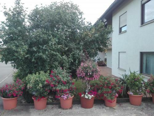 Obere Ferienwohnung Asshoff zwischen Odenwald, Taubertal und Bauland Berolzheim Exterior foto